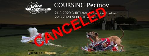 Coursing Pecínov 2020 - zrušeno